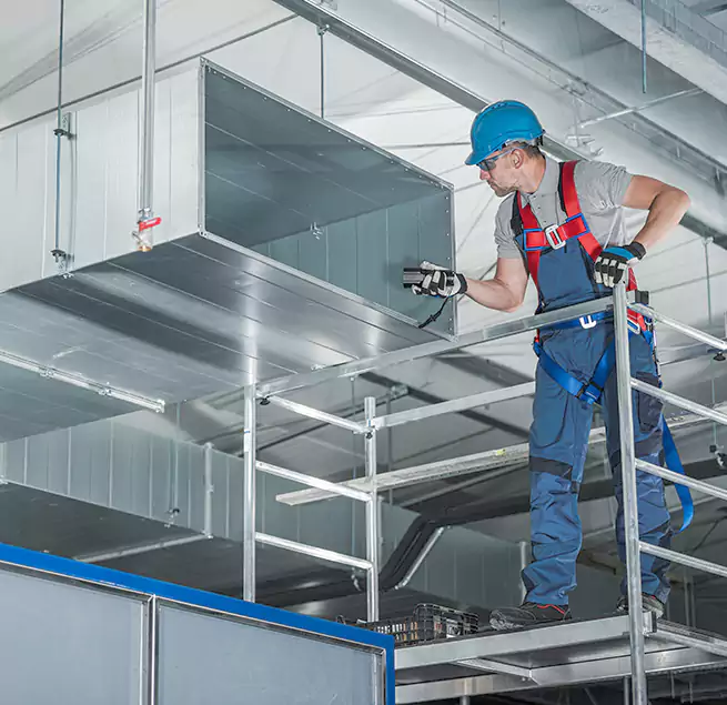 Why Homeowners Businesses Trust Us in Palm Harbor, FL