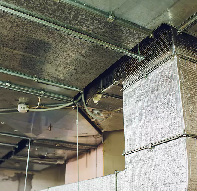 Why Homeowners & Businesses Trust Us in Palm Harbor, FL?