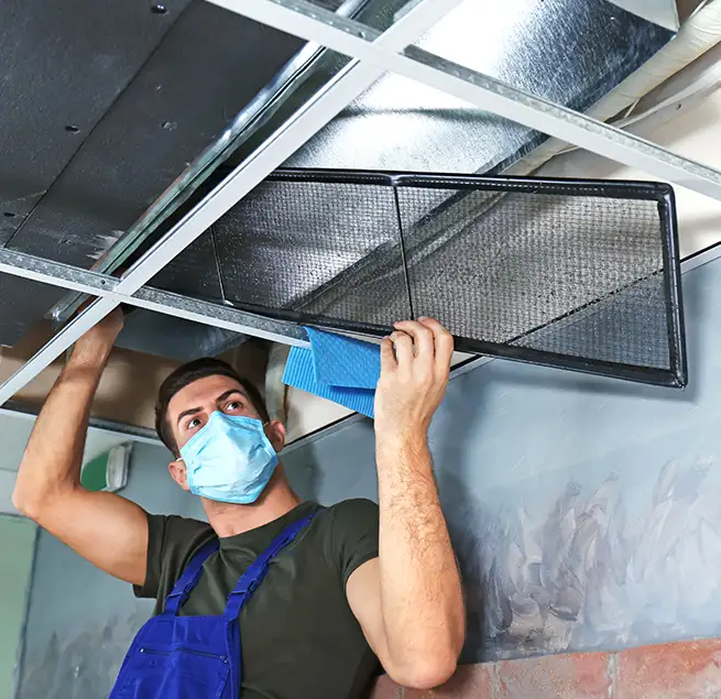 Why Homeowners & Businesses Trust Us in Palm Harbor, FL?