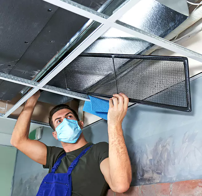 Why Homeowners & Businesses Trust Us in Palm Harbor, FL?