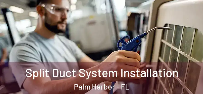  Split Duct System Installation Palm Harbor - FL