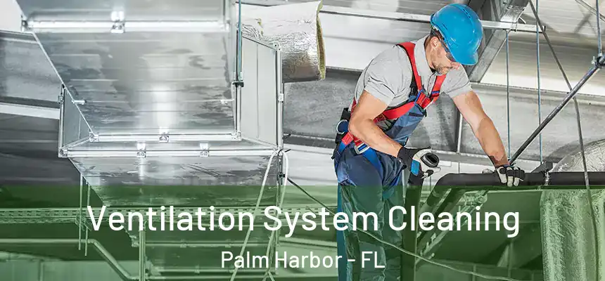  Ventilation System Cleaning Palm Harbor - FL