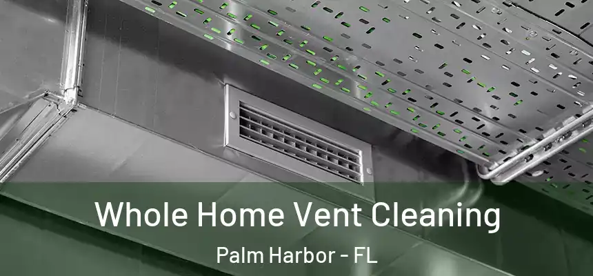 Whole Home Vent Cleaning Palm Harbor - FL